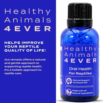 HealthyAnimals4Ever Reptile Oral Health - Natural Support for Mouth Rot, Enhanced Oral Hygiene & Long-Lasting Comfort - Gentle Homeopathic Formula - 300 Count HealthyAnimals4ever