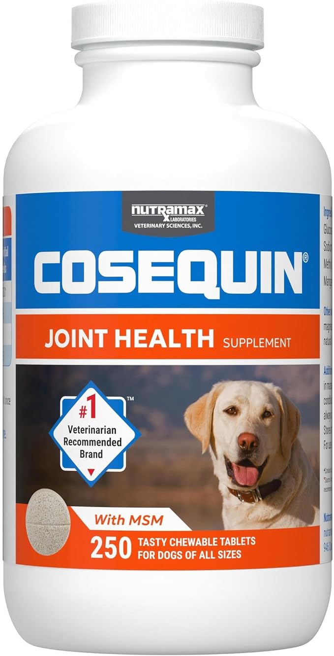 Nutramax Laboratories Cosequin Maximum Strength Joint Health Supplement for Dogs - With Glucosamine, Chondroitin, and MSM, 250 Chewable Tablets NutramaxLaboratories