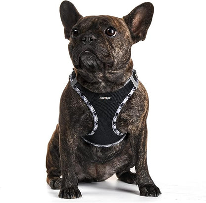 AMTOR Dog Harness with Leash Set,No Pull Adjustable Reflective Step-in Puppy Harness with Padded Vest for Extra-Small/Small Medium Large Dogs and Cats(Blackwhite) AMTOR