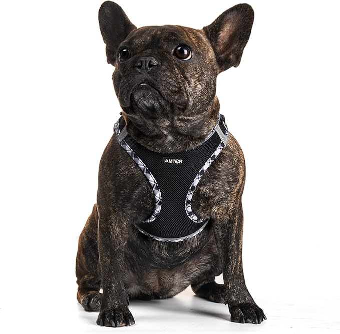 AMTOR Small Dog Harness with Leash Set, No Escape Easy Walk Puppy Harnesses for Training Walking, Step-in Reflective Soft Dogs Vest for XS S Medium Extra-Small Large Sized Dog(Blackwhite,S) AMTOR