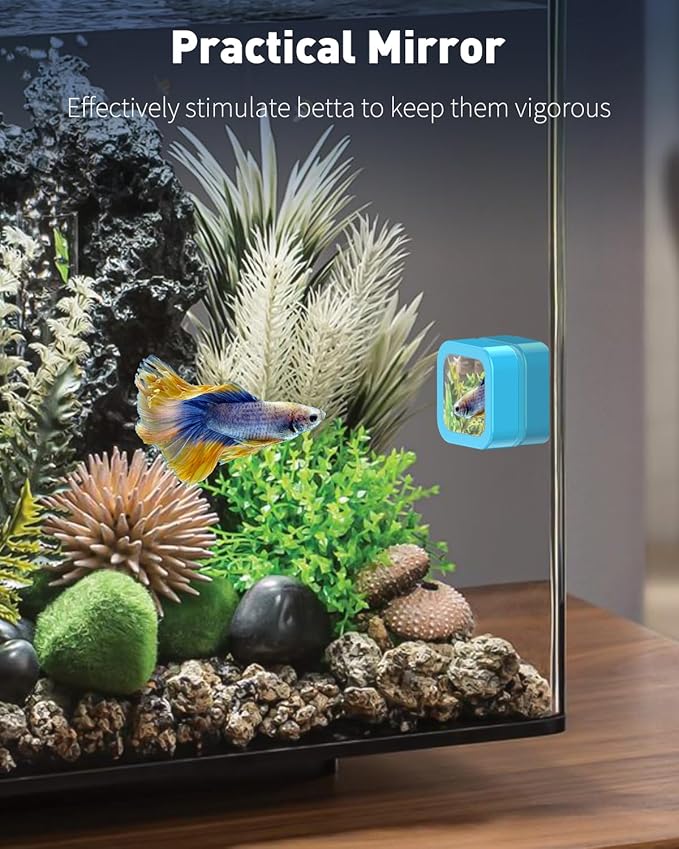 Pawfly Magnetic Aquarium Glass Cleaner Fish Tank Magnetic Brush with Mirror, 1.5 Inch Mini Fish Tank Glass Cleaner Cleaning Tool for 2/5 Inch Thick Aquarium up to 10 Gallons (Non-Floatable) Pawfly