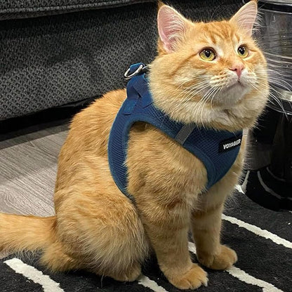 Voyager Step-in Air Dog Harness - All Weather Mesh, Reflective, No Pull Harness for Small, Medium Dogs, Cats - Secure with Hook & Loop Fastener, Buckle, Double D-Rings - Blue, S BestPetSuppliesLLC