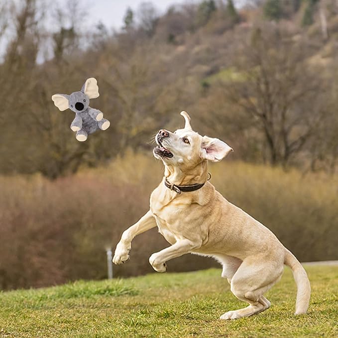 Blnboimrun Dog Toys Stuffed Plush Dog Toy Koala Dog Squeaky Toys with Crinkle Paper Chew Toys for Large and Medium Dogs Puppy - PAWPICO