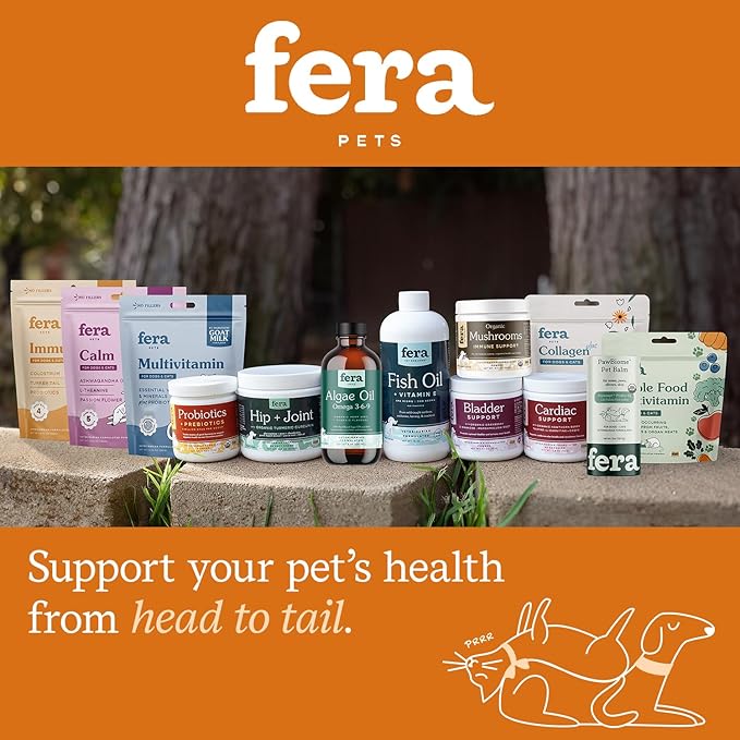 Fera Pet Organics Pumpkin Plus Fiber Supplement for Pets - Vet Created - Dog & Cat Regularity & Gut Function - Organic Pumpkin Seeds, Flax Seeds - 90 Scoops FeraPets