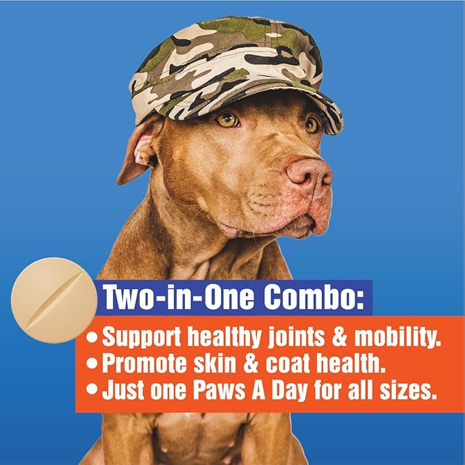 Glucosamine for Dogs Hip & Joint Supplement – “Two-in-One Combo” Dog Joint Care and Improved Skin & Coat with Chondroitin, MSM, Omega 3, Collagen & Biotin, 60 Chewable Tablets PawsADay