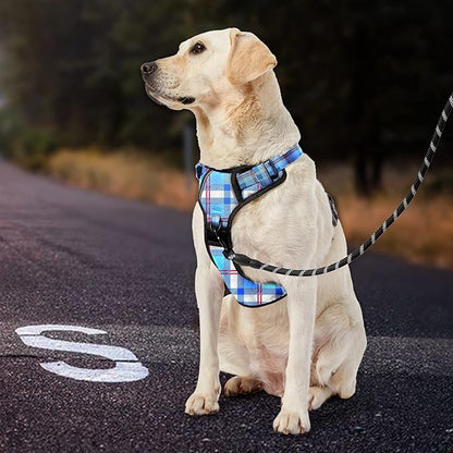 IVY&LANE No Pull Dog Harness with Leash Set, Reflective No Choke Pet Vest,Adjustable Oxford Dog Vest Harness with Easy Control Handle for Medium Lagre Dogs (Checkered Blue,M) IVYLANE