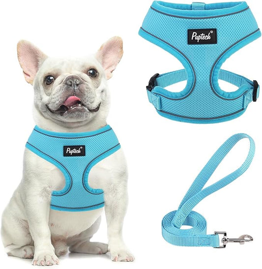 PUPTECK Soft Mesh Dog Harness and Leash Set Pet Puppy Cat Comfort Padded Vest No Pull Harnesses, Solid LightBlue, M PUPTECK