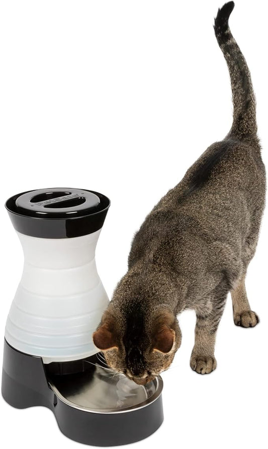 PetSafe Healthy Pet Water Station - Small, 64 oz Capacity - Gravity Pet Water Fountain, Automatic Cat Water Fountain, Dog Water Fountain, Water Dispenser - Removable Stainless Steel Bowl Included - PAWPICO