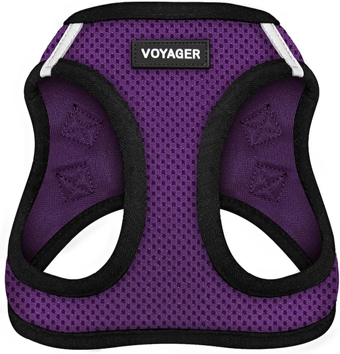 Voyager Step-in Air Dog Harness - All Weather Mesh, Reflective, No Pull Harness for Small, Medium Dogs, Cats - Secure with Hook & Loop Fastener, Buckle, Double D-Rings - Purple/Black Trim, L BestPetSuppliesLLC