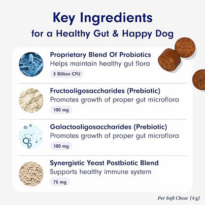 PetLab Co. Probiotics for Dogs, Support Gut Health, Occasional Diarrhea, Digestive Health & Seasonal Allergies - Salmon Flavor - 30 Soft Chews Pack of 2 PetlabCo