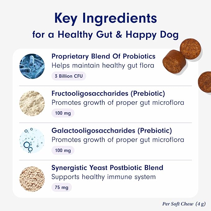 PetLab Co. Probiotics for Dogs, Support Gut Health, Occasional Diarrhea, Digestive Health & Seasonal Allergies - Salmon Flavor - 30 Soft Chews PetlabCo