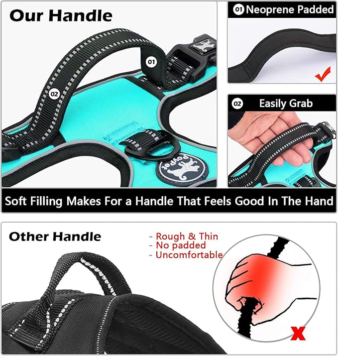 PoyPet No Pull Dog Harness, No Choke Front Clip Dog Reflective Harness, Adjustable Soft Padded Pet Vest with Easy Control Handle for Small to Large Dogs(Mint Blue,M) PoyPet