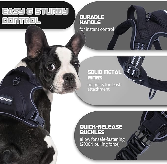 No Pull Dog Harness for Medium Dogs, Adjustable No Choke Pet Vest with Dog Leash Fit Smart Reflective Pet Walking Harness for Training Easy Control Soft Handle Black XL BUMBIN