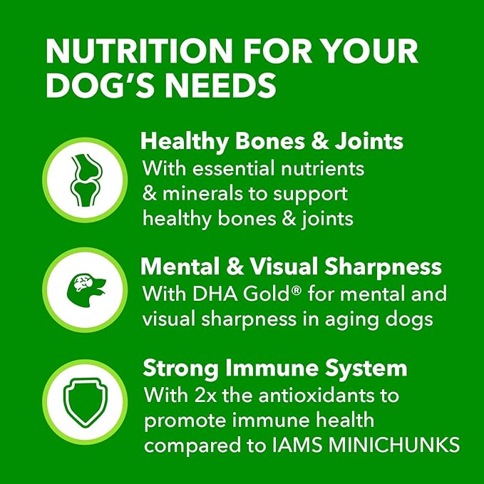 IAMS Proactive Health Healthy Aging Adult Dry Dog Food for Mature and Senior Dogs with Real Chicken, 7 lb. Bag - PAWPICO