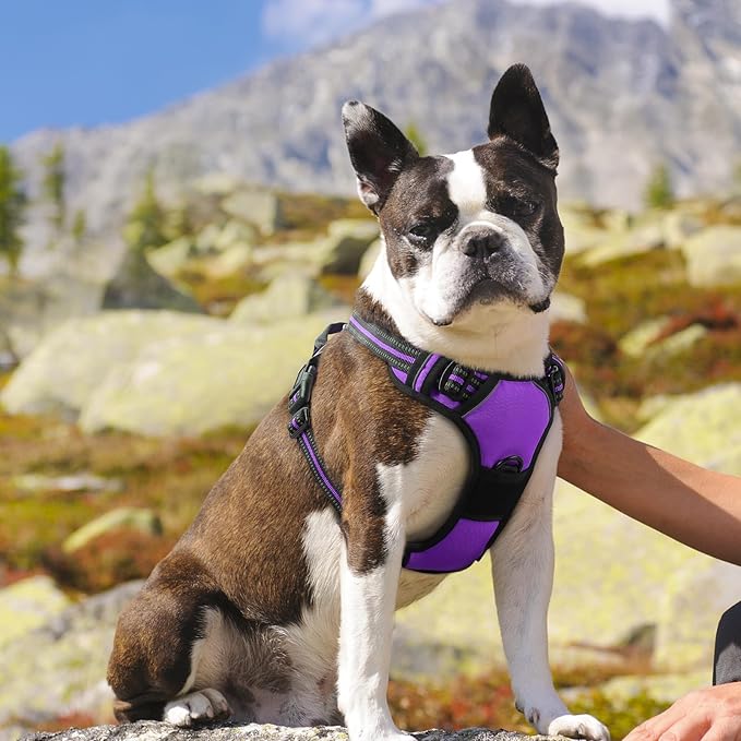 Eagloo Dog Harness Medium Sized Dog, No Pull Service Vest with Reflective Strips and Control Handle, Adjustable and Comfortable for Easy Walking, No Choke Pet Harness with 2 Metal Rings, Purple, M GoExplorewithEagloo