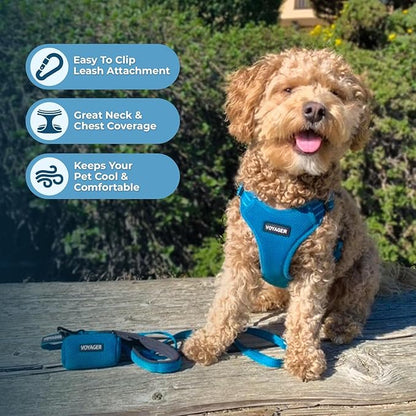 Best Pet Supplies Voyager Adjustable Dog Harness Leash Set with Reflective Stripes for Walking Heavy-Duty Full Body No Pull Vest with Leash D-Ring, Breathable All-Weather - Harness (Turquoise), M BestPetSuppliesLLC