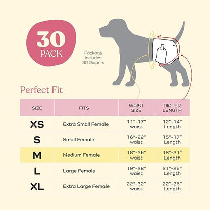 Super Absorbent Female Dog Diapers - 30-Pack Comfortable Disposable Doggie Diapers - FlashDry Gel Technology & Wetness Indicator - Leakproof Diapers for Dogs in Heat, Excitable Urination, Incontinence - PAWPICO