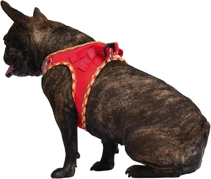 AMTOR Small Dog Harness with Leash Set, No Escape Easy Walk Puppy Harnesses for Training Walking, Step-in Reflective Soft Dogs Vest for XS S Medium Extra-Small Large Sized Dog(Red) - PAWPICO