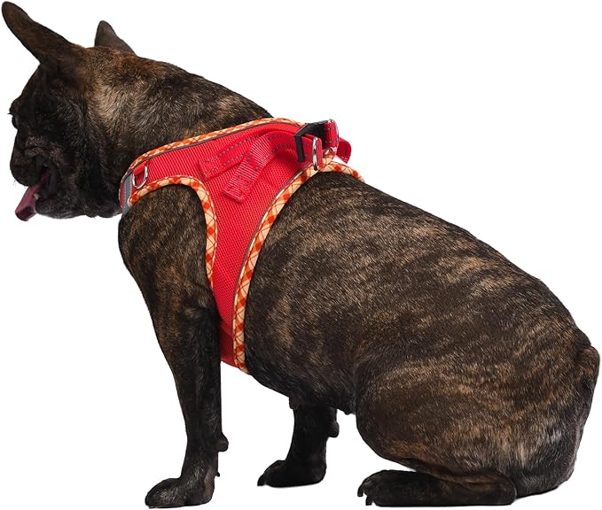 AMTOR Small Dog Harness with Leash Set, No Escape Easy Walk Puppy Harnesses for Training Walking, Step-in Reflective Soft Dogs Vest for XS S Medium Extra-Small Large Sized Dog(Red) AMTOR