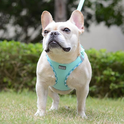 Mercano Soft Mesh Dog Harness and Leash Set, No-Chock Step-in Reflective Breathable Lightweight Easy Walk Escape Proof Vest Harnesses with Safety Buckle for Small Medium Dogs, Cats (Light Green, L) PAWPICO