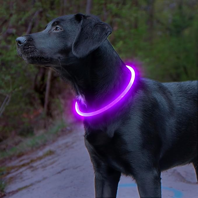 Light up Dog Collar, BSEEN USB Rechargeable Flash Dog Necklace Light, Pet Safety Collar Makes Your Beloved Dogs Be Seen at Night for Small Medium Large Dogs(Purple) - PAWPICO