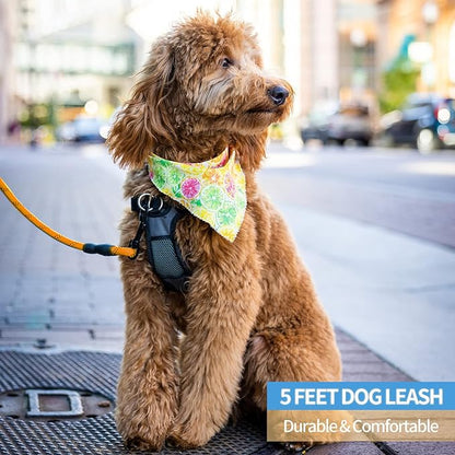 BAAPET 2/4/5/6 FT Dog Leash with Comfortable Padded Handle and Highly Reflective Threads for Small Medium and Large Dogs (6FT-1/2'', Orange) BAAPET