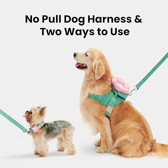 VETRESKA Flora Dog Harness, Leash and Collar Set, No Pull Dog Vest Harness for Walking and Training, Adjustable, Easy Control and Soft Padded Pet Harness and Backpack for Small Medium Large Dogs, L VETRESKA