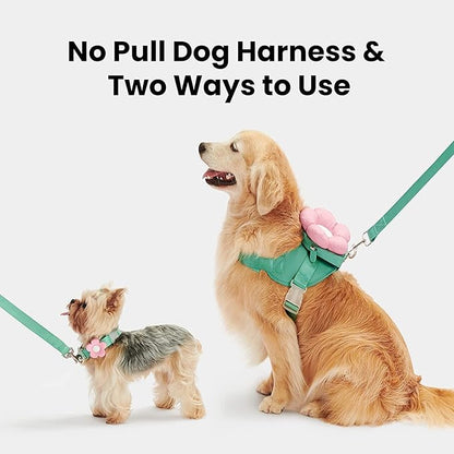 VETRESKA Flora Dog Harness, Leash and Collar Set, No Pull Dog Vest Harness for Walking and Training, Adjustable, Easy Control and Soft Padded Pet Harness and Backpack for Small Medium Large Dogs, L VETRESKA