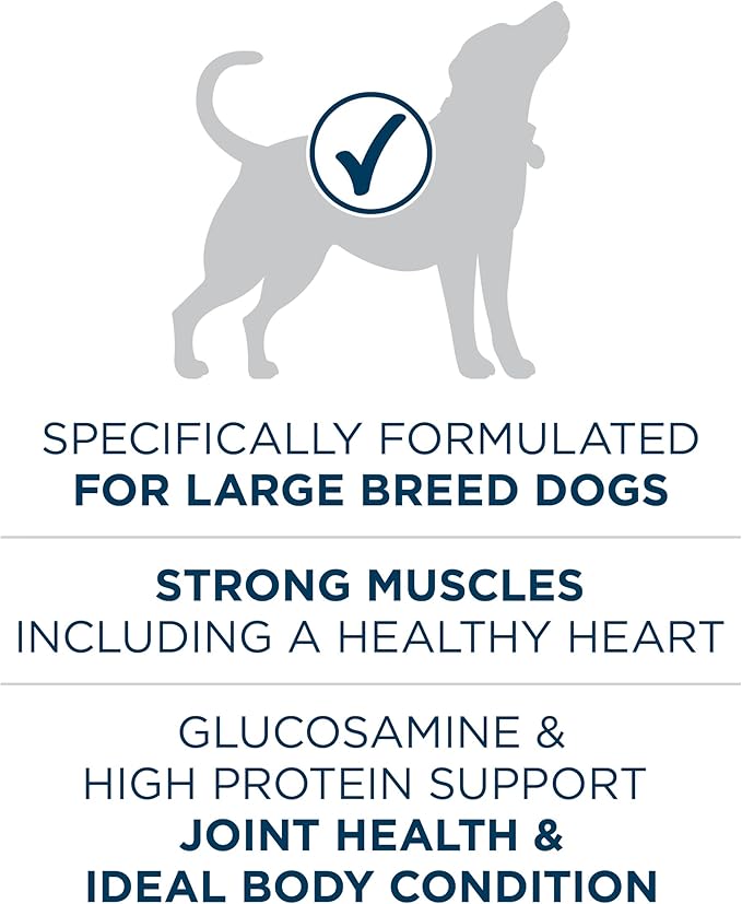 Purina ONE Plus Large Breed Adult Dog Food Dry Formula - 31.1 lb. Bag - PAWPICO