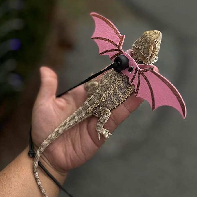 ADOGGYGO Bearded Dragon Leash Harness, 3 Size Pack Pink Leather Wing Lizard Harness with Removable Lizard Leash for Bearded Dragon Lizard Reptiles (Pink) ADOGGYGO