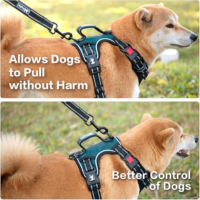 PoyPet No Pull Dog Harness, No Choke Front Clip Reflective Dog Vest with Soft Padded Vertical Handle, 3 Leash Attachments for Small Medium Large Dogs (Tumalo Teal,S) PoyPet