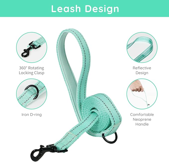 BELLA & PAL Small Dog Harness with Leash Set, Light Green, Size S, No Pull, Reflective Strips, Step-in Design BELLAPAL
