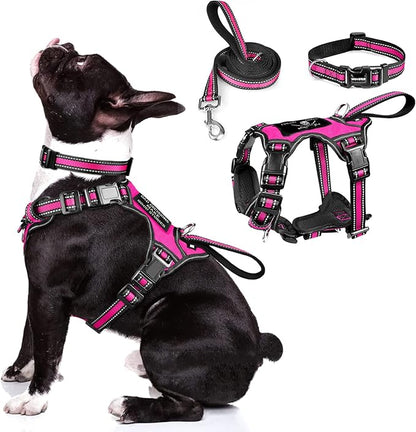WINSEE Pet Harness Collar and Leash Set, All-in-one Reflective Dog Harness No Pull with Adjustable Buckles for Puppies, Small, Medium, Large, and Extra-Large Dogs (Medium, Rosy) WINSEE