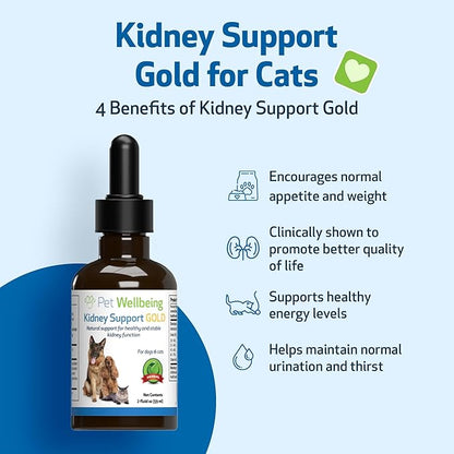 Pet Wellbeing Kidney Support Gold for Cats - Supports Healthy Kidney Function, Fluid Balance, Energy Levels, Rehmannia, Dong Quai - Veterinarian-Formulated Herbal Supplement 2 oz (59 ml) PetWellbeing