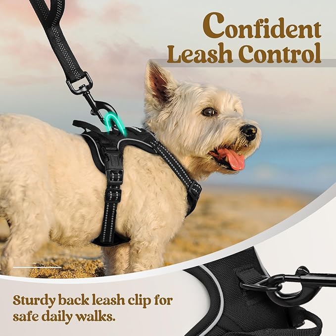 rabbitgoo Dog Harness No Pull with 2 Leash Clips, Adjustable Soft Padded, Reflective Oxford No Choke Pet Vest with Easy Control Handle for Puppy, Black, XS rabbitgoo