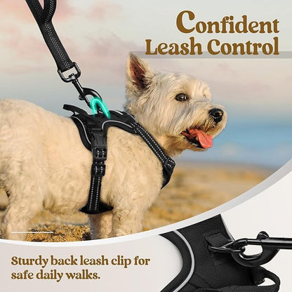 rabbitgoo Dog Harness No Pull with 2 Leash Clips, Adjustable Soft Padded, Reflective Oxford No Choke Pet Vest with Easy Control Handle for Puppy, Black, XS rabbitgoo