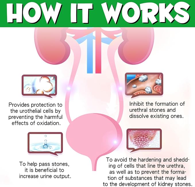 Urinary Tract for Dogs, Natural Dog Urinary Tract Infection Treatment Drops - Supports Bladder, Kidney Stone, Dog UTI, Pet Supplement Renal Health Care Drops, Bacon Flavor - 60ml / 2.02oz PAWPICO