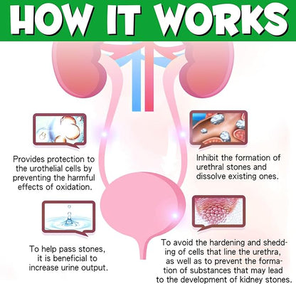 Urinary Tract for Dogs, Natural Dog Urinary Tract Infection Treatment Drops - Supports Bladder, Kidney Stone, Dog UTI, Pet Supplement Renal Health Care Drops, Bacon Flavor - 60ml / 2.02oz PAWPICO