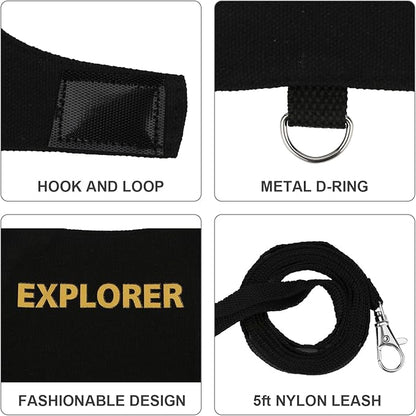 Hypeety Bearded Dragon Harness and Leash Set Adjustable Escape Proof Leash Outdoor Walking Training Leash and Harness for Bearded Dragon Lizard Reptiles Small Pets Black (Explorer) Hypeety