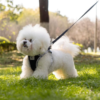 Dog Harness and Leash Set, No Pull Pet Harness for Small Dogs Easy Walking,Soft Breathable Small Dog Harness,Adjustable Reflective Step in Vest Harness for Puppy,Kitten, Cats TomteNisse