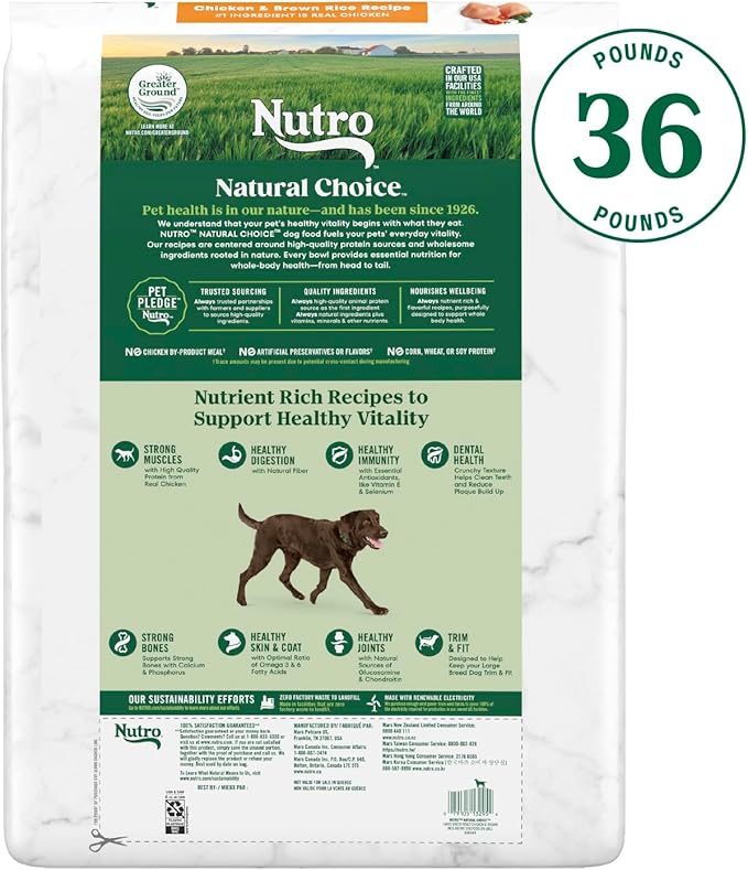 Nutro Natural Choice Adult Large Breed Dry Dog Food, Chicken and Brown Rice Recipe, 36 lb. Bag - PAWPICO