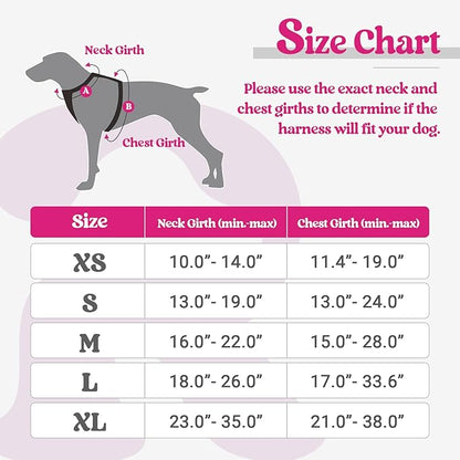 rabbitgoo Dog Harness No Pull with 2 Leash Clips, Adjustable Soft Padded, Reflective Oxford No Choke Pet Vest with Easy Control Handle for Puppy, Hot Pink, XS rabbitgoo