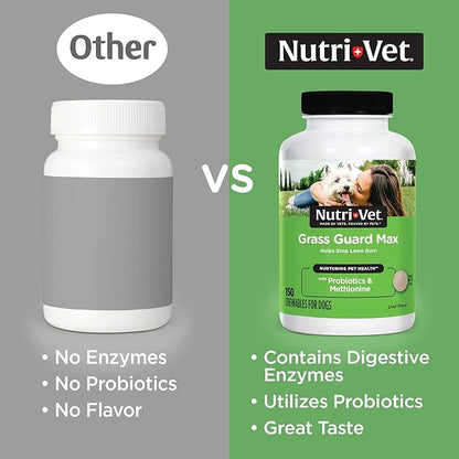 Nutri-Vet Grass Guard Chewables for Dogs - Made with Probiotics and Digestive Enzymes - Prevent Lawn Burn from Urine - 150 Count Nutri-Vet