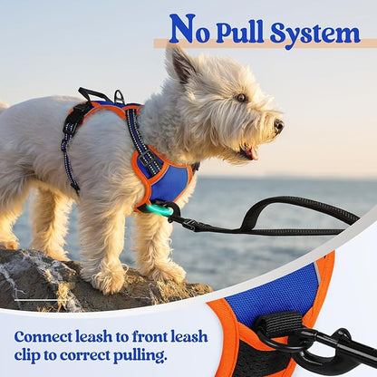 rabbitgoo Dog Harness No Pull with 2 Leash Clips, Adjustable Soft Padded, Reflective Oxford No Choke Pet Vest with Easy Control Handle for Puppy, Blue & Orange, XS rabbitgoo