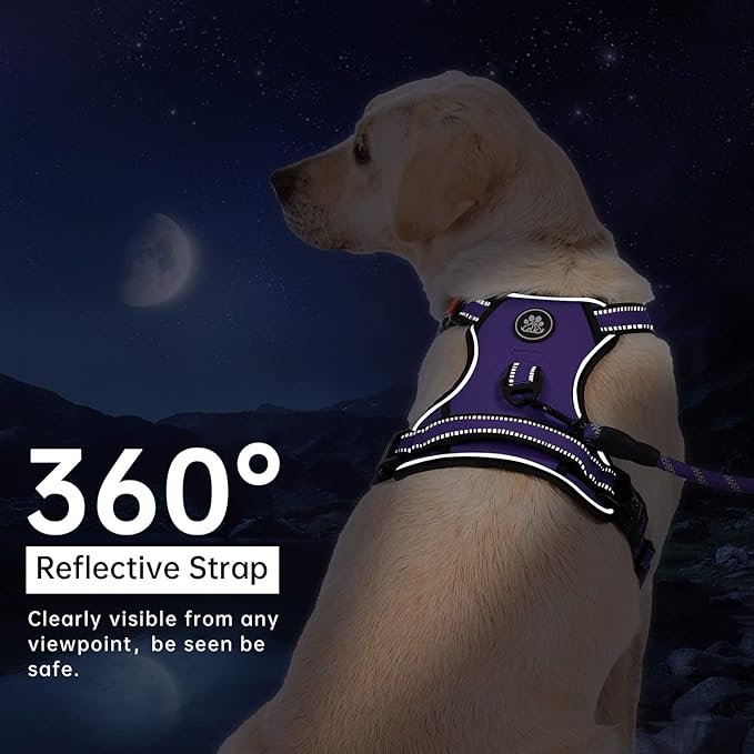 IVY&LANE No Pull Dog Harness for Large Dogs, Dog Vest Harness with Leash, Safety Belt and Storage Strap, Fully Adjustable Harness, 360° Reflective Strip, Soft Handle (Purple, XL) IVYLANE