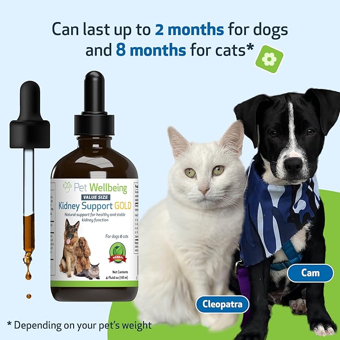 Pet Wellbeing Kidney Support Gold for Dogs & Cats - Healthy Kidney Function, Energy & Fluid Balance, Normal Appetite, Rehmannia, Dong Quai - Veterinarian-Formulated Herbal Supplement 4 oz (118 ml) PetWellbeing