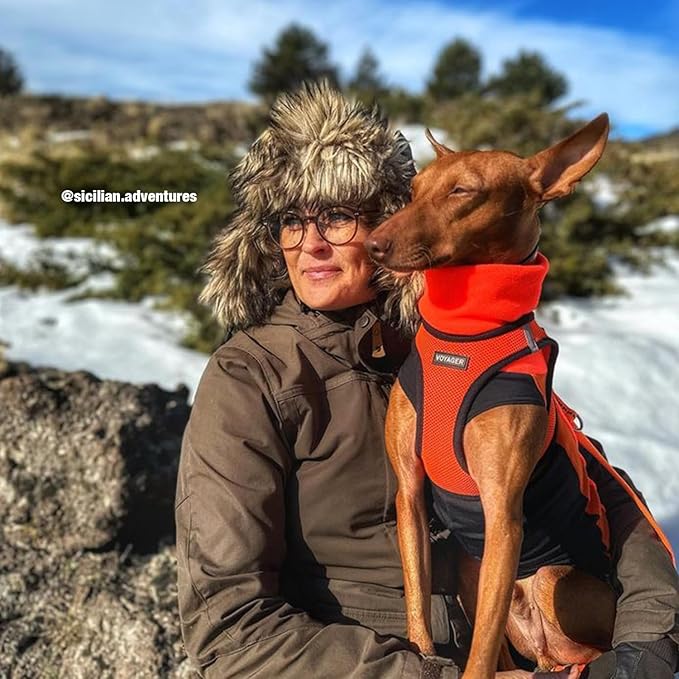 Voyager Step-in Air Dog Harness - All Weather Mesh, Reflective, No Pull Harness for Small, Medium Dogs, Cats - Secure with Hook & Loop Fastener, Buckle, Double D-Rings - Orange/Black Trim, XL BestPetSuppliesLLC