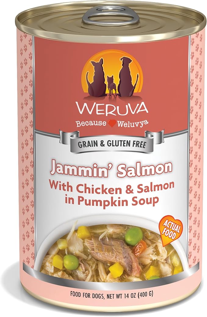 Weruva Classic Dog Food, Jammin' Salmon with Chicken & Salmon in Gravy, 14oz Can (Pack of 12), Red (Jammin’ Salmon) - PAWPICO