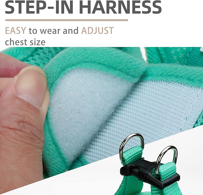 PUPTECK Adjustable Dog Harness Collar and Leash Set Step in No Pull Pet Harness for Small Medium Dogs Puppy and Cats Outdoor Walking Running, Soft Mesh Padded Reflective Vest Harnesses, Solid Green XS PUPTECK