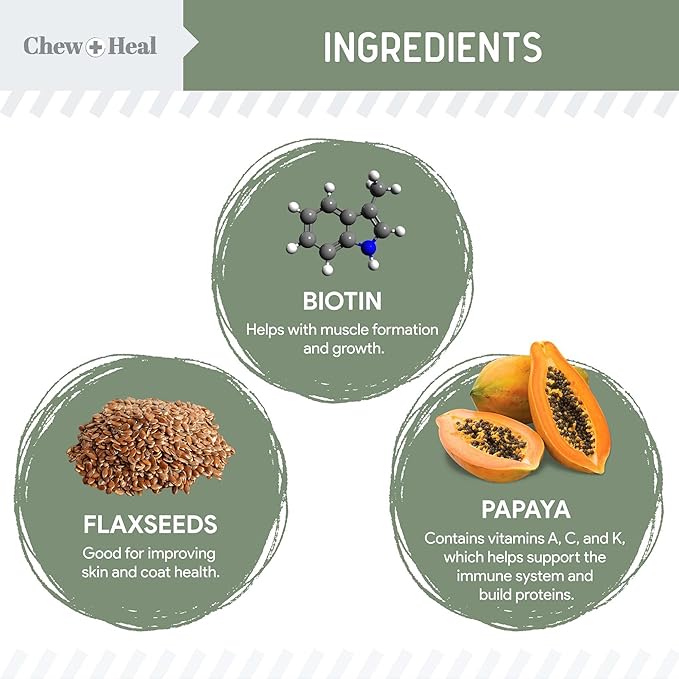 Chew + Heal All in 1 Dog Vitamin - 120 Soft Chew Treats - Chewable Multivitamin with Probiotics, Digestive Enzymes, for Skin and Coat, Hip and Joint Support - with Omega, Calcium - Made in The USA ChewHeal